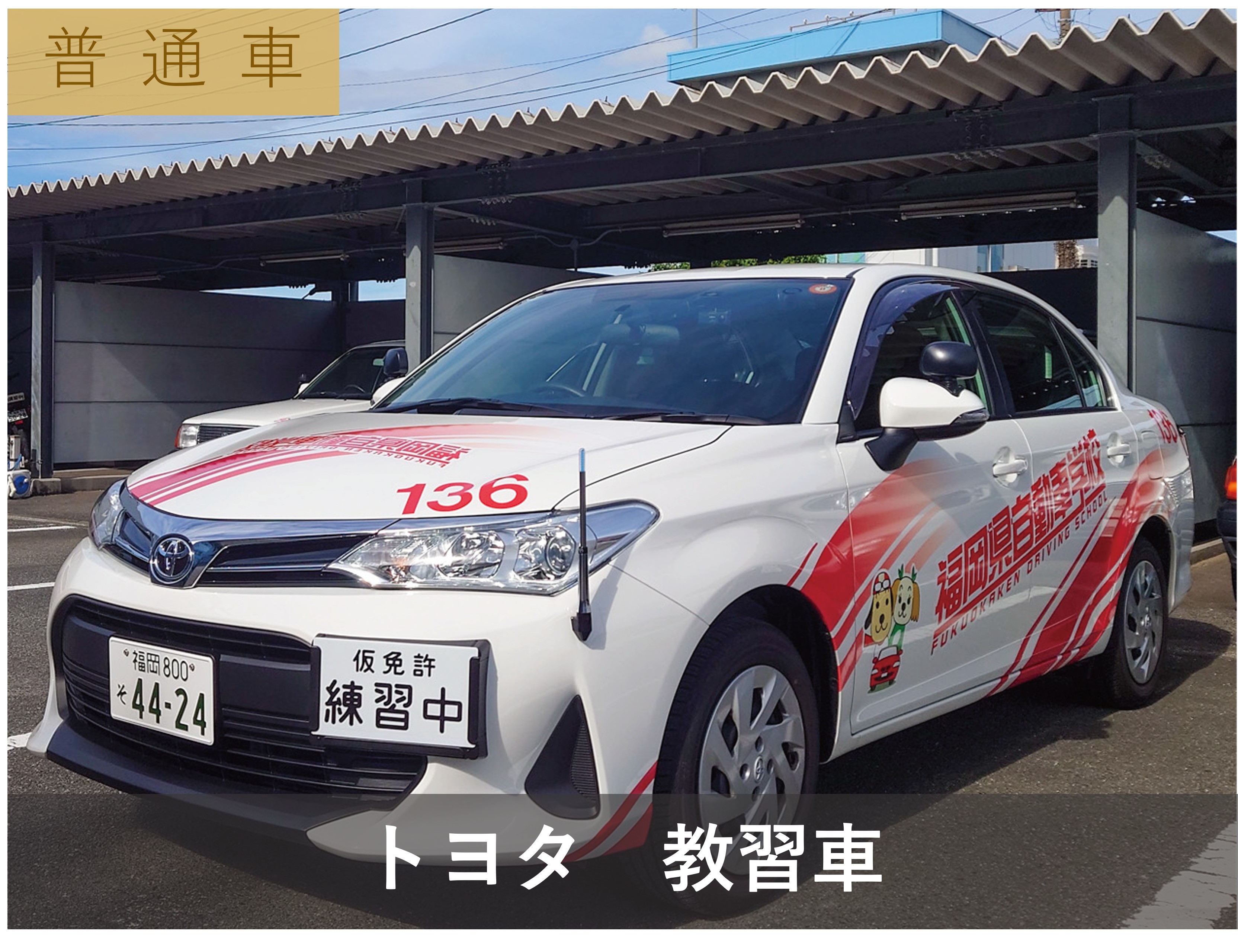 普通車